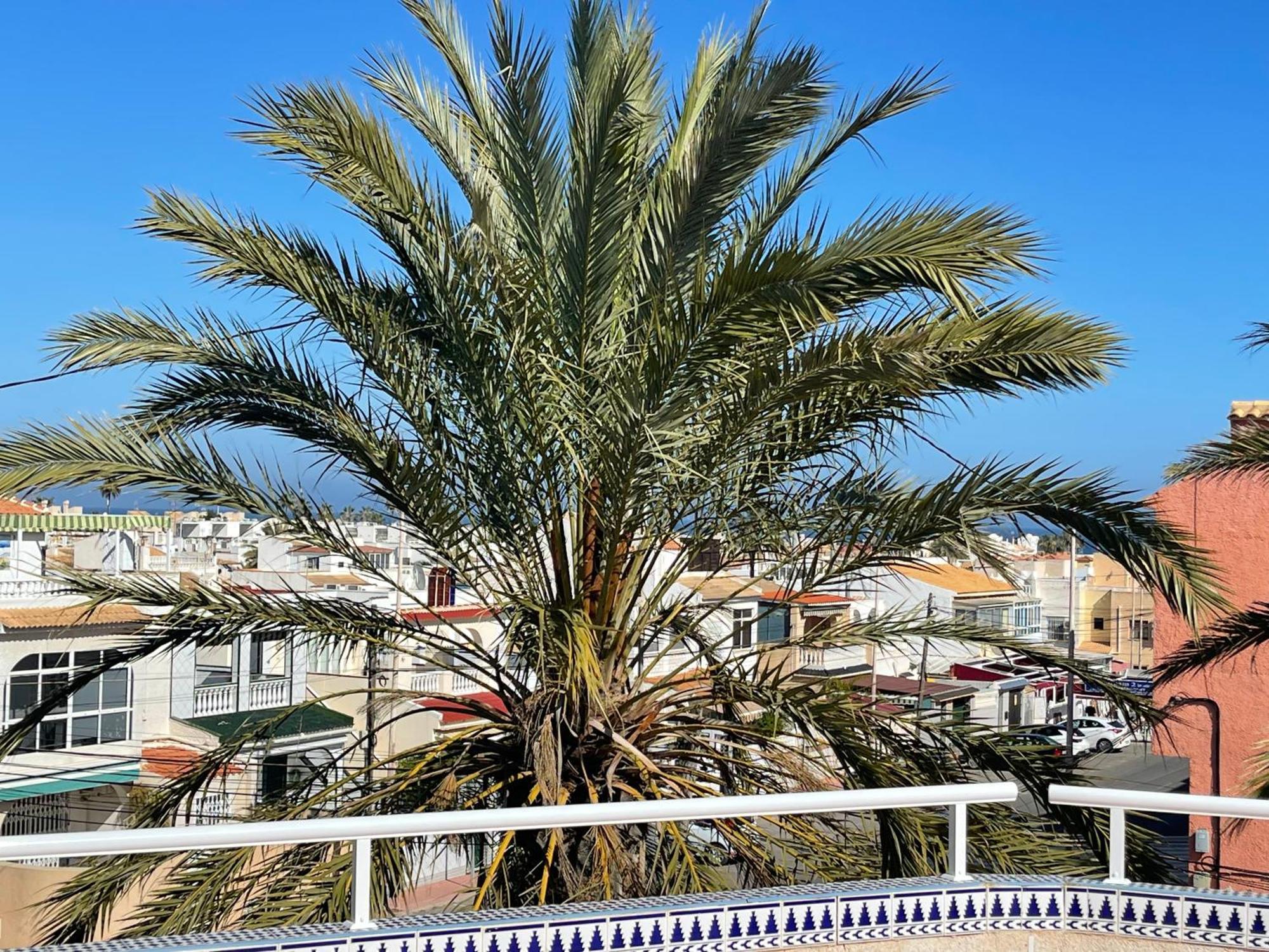 Anna'S Garden Torrevieja Exterior foto